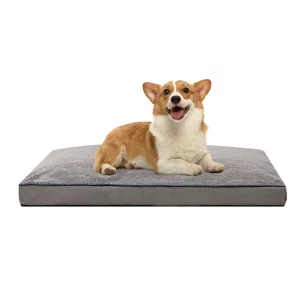 Zalucci dog canaper